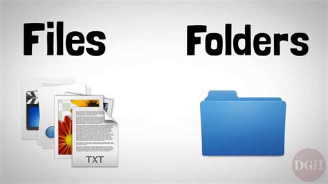 File & Folder