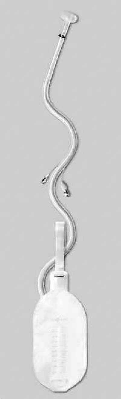 Flexi Seal Fecal Management System Download Scientific Diagram Flexi Seal Fecal Management System Download Scientific Diagram
