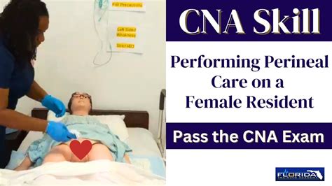 Perineal Care Female Perineal Care Female