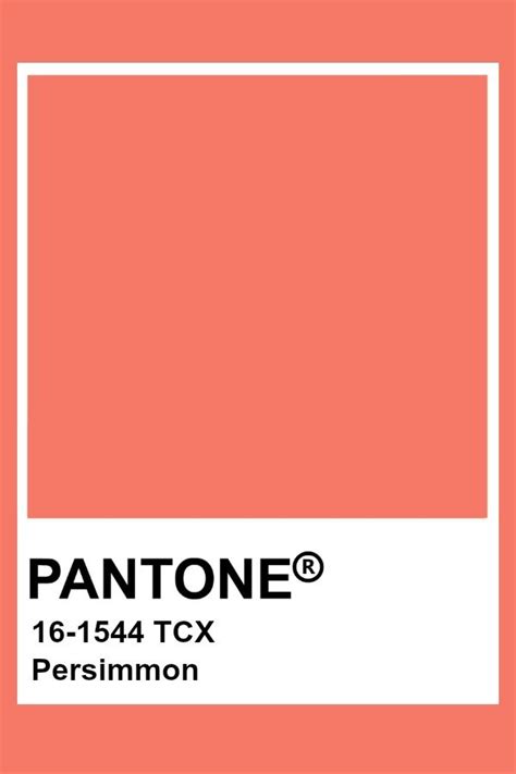 Persimmon Color