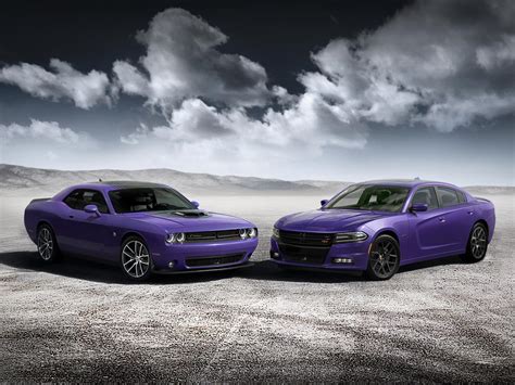 Plum Crazy Purple