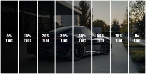 Shades Auto Tints
