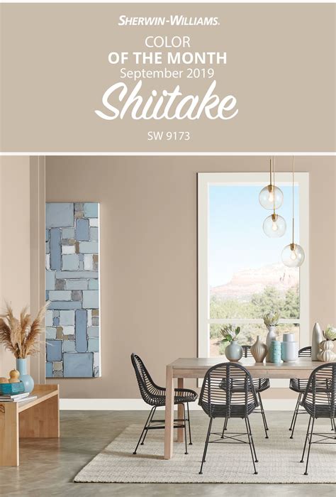 Sherwin Williams Shiitake