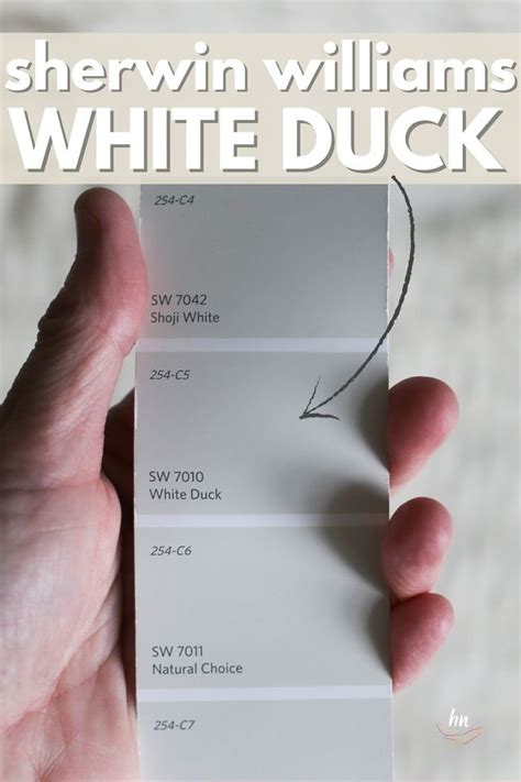 Sherwin Williams White Duck Sw 7010 See It In 17 Real Spaces In 2024 Sherwin Williams White Duck Sw 7010 See It In 17 Real Spaces In 2024