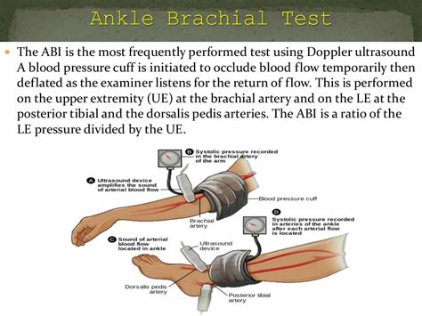 Test For Peripheral Arterial And Venous Circulation Test For Peripheral Arterial And Venous Circulation