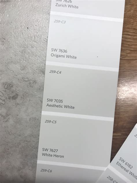 White Grey Paint